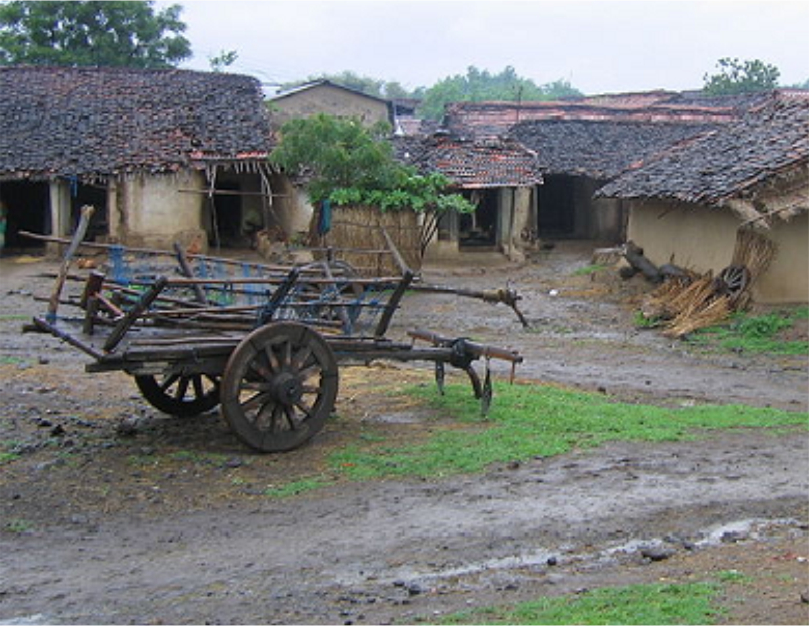 Village Tours